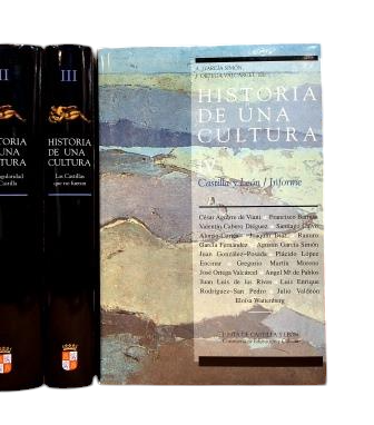 García Simón, A. (Ed.).- HISTORIA DE UNA CULTURA. CASTILLA Y LEÓN EN LA HISTORIA DE ESPAÑA (I-II-III-IV)
