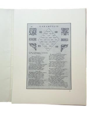 LITERATURA DE LA CELEBRACIÓN. VERSO E IMAGEN EN EL BARROCO ESPAÑOL