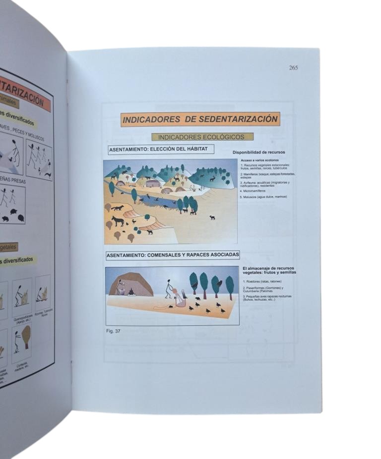 Poyato Holgado, Mª del Carmen.- EL NATUFIENSE DEL MEDITERRÁNEO ORIENTAL