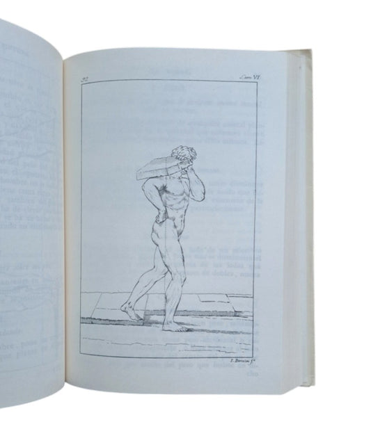 Vinci, Leonardo de.- EL TRATADO DE LA PINTURA & Alberti, Leon Bautista.- LOS TRES LIBROS DE LA PINTURA