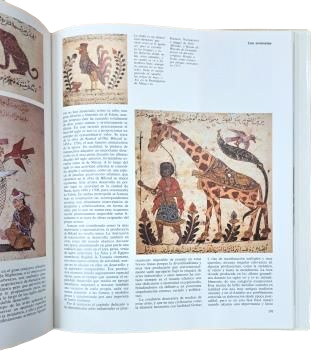 Various Authors - The World in the 15th Century