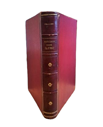 Pellicer y Pagés, José Mª.- ESTUDIOS HISTÓRICO-ARQUEOLÓGICOS SOBRE ILURO