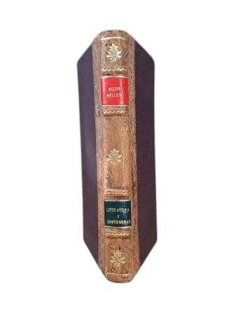 Mellizo, Felipe.- LITERATURA Y ENFERMEDAD