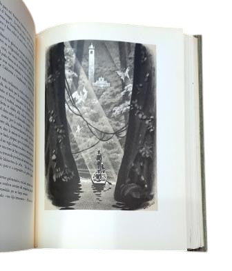 Martí Ibáñez, Félix.- THE DREAM SEEKERS. THIRTEEN TALES OF WONDER AND PRODIGY