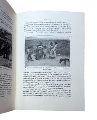 Pabanó, FM - HISTORY AND CUSTOMS OF THE GYPSIES. SPANISH-GYPSY-GERMANIC DICTIONARY.