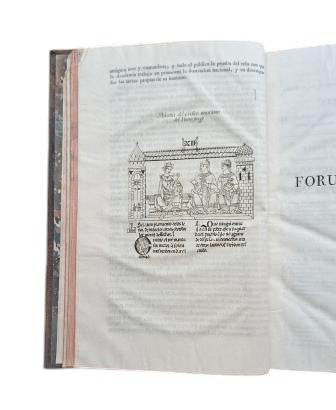 Fuero Juzgo in Latin and Spanish, compared with the oldest and most precious codices