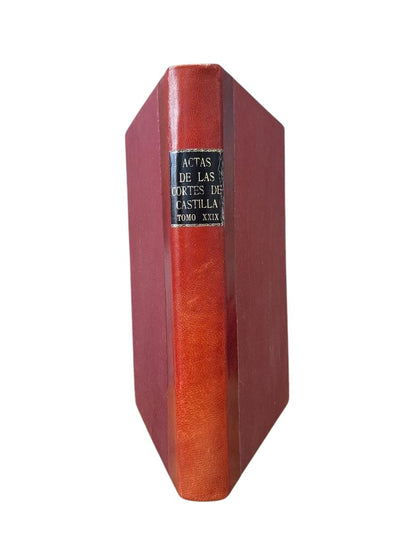 MINUTES OF THE COURTS OF CASTILE 1617 - 1620. VOLUME XXIX