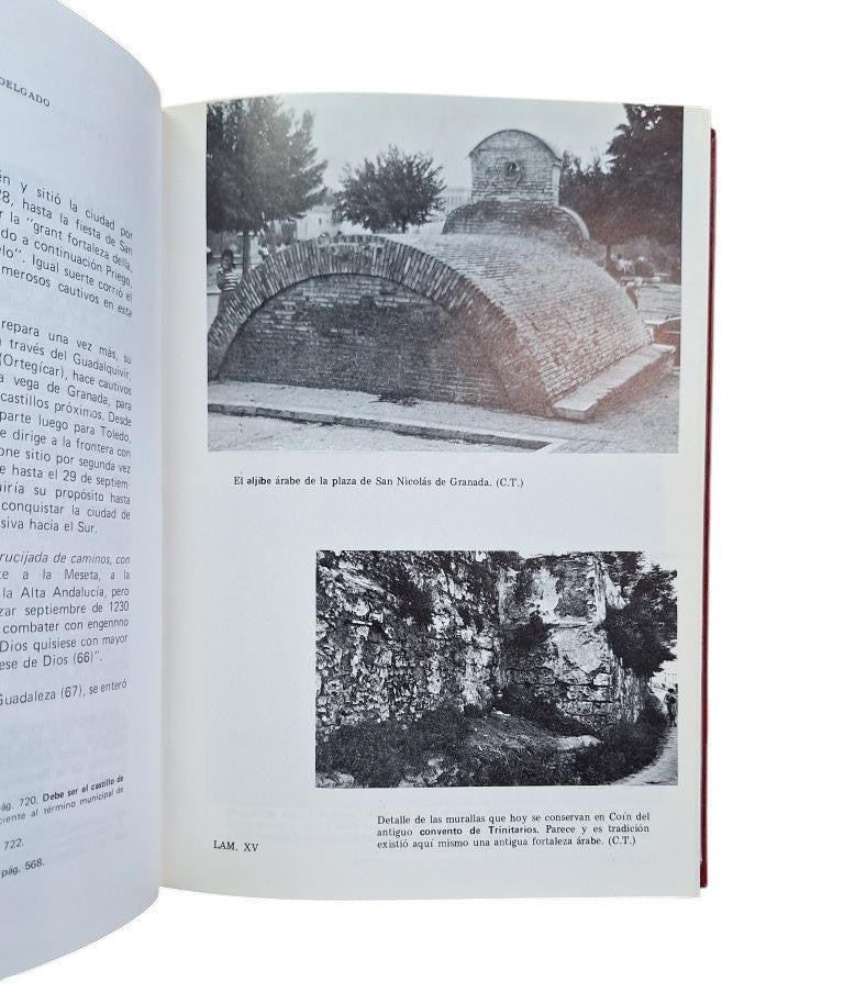 Torres Delgado, Cristóbal.- THE ANCIENT NASRID KINGDOM OF GRANADA (1232-1340)