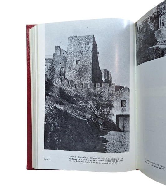 Torres Delgado, Cristóbal.- EL ANTIGUO REINO NAZARÍ DE GRANADA (1232-1340)