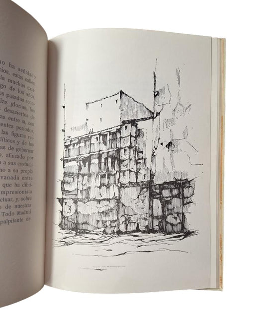 Caruncho Amat, L. M. & Morales Marín, J. L. & González Lamata, A.- NOTICIA DE LAS CORRALAS DE MADRID