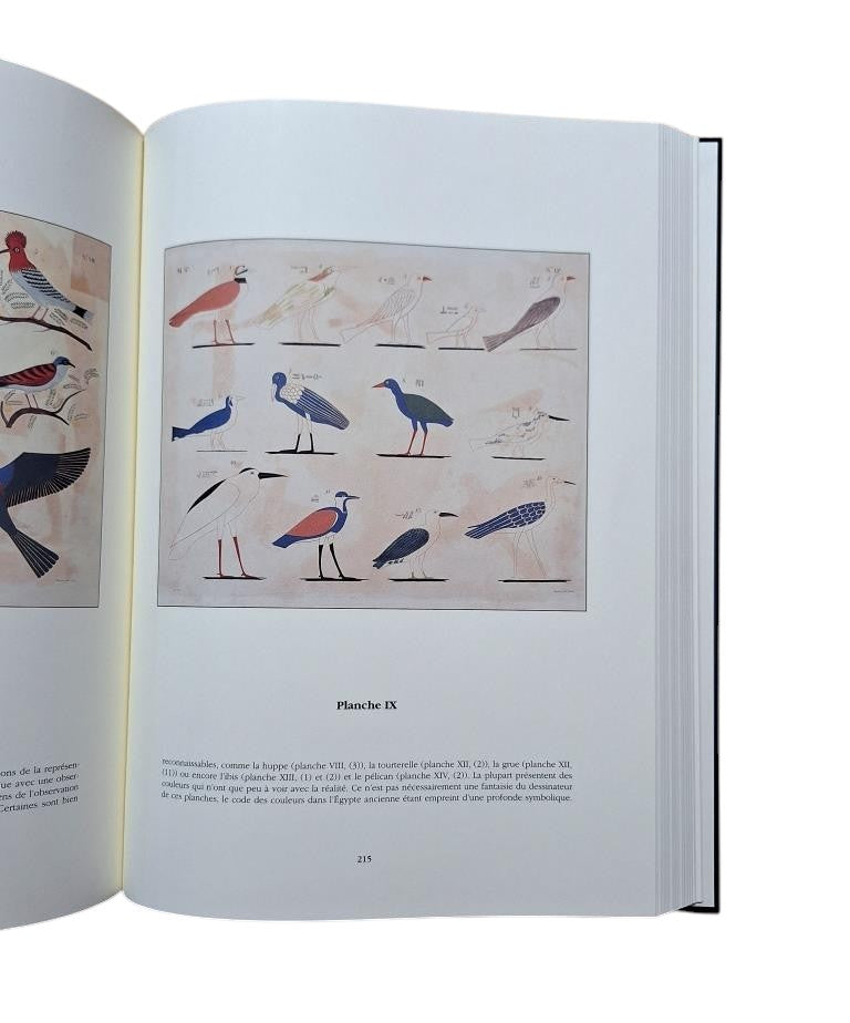 Rosellini, Ippolito.- MONUMENTS DE L'ÉGYPTE ET DE LA NUBIE