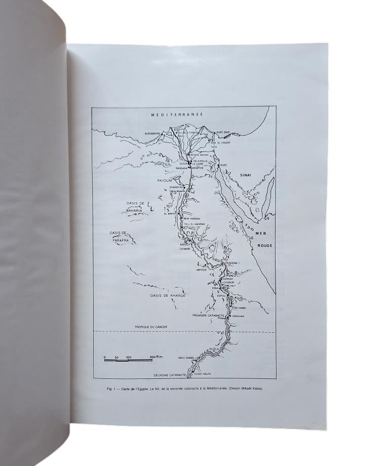 Leblanc, Christian.- TA SET NEFEROU 1.- GÉOGRAPHIE. TOPONYMIE. HISTORIQUE DE L'EXPLORATION SCIENTIFIQUE DU SITE