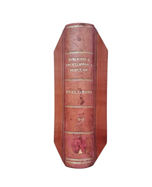 Bernal de O'Reilly, A. - AU LIBAN. LETTRES - RAPPORTS SUR LA SYRIE I - II