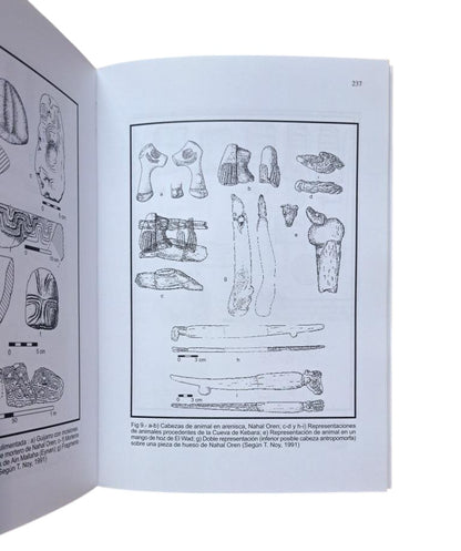 Poyato Holgado, Mª del Carmen.- THE NATUFIAN OF THE EASTERN MEDITERRANEAN