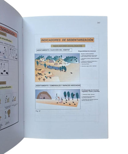 Poyato Holgado, Mª del Carmen.- THE NATUFIAN OF THE EASTERN MEDITERRANEAN