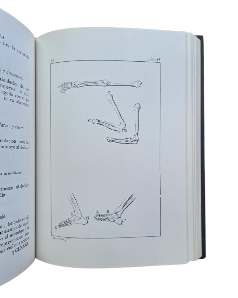 Vinci, Leonardo de.- EL TRATADO DE LA PINTURA & Alberti, Leon Bautista.- LOS TRES LIBROS DE LA PINTURA