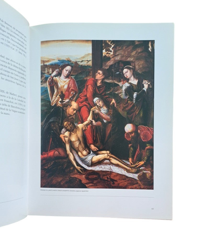 VV.AA.- LAS PINTURAS SOBRE TABLA DE LOS SIGLOS XV Y XVI DE LA CATEDRAL DE BURGOS