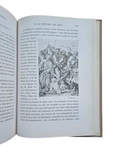 Wölfflin, Enrique.- CONCEPTOS FUNDAMENTALES DE LA HISTORIA DEL ARTE