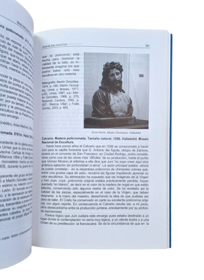 Fernández del Hoyo, Mª Antonia.- JUAN DE JUNI, ESCULTOR