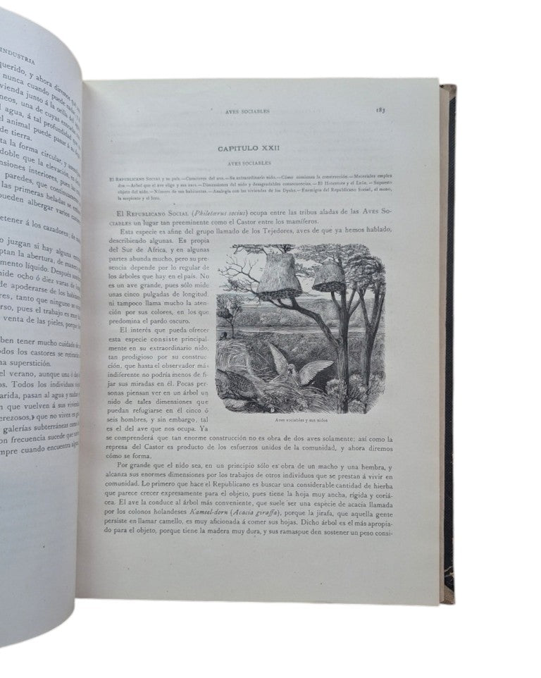 Wood, J. G.- LOS PRECURSORES DEL ARTE Y DE LA INDUSTRIA. REVELACIONES DE LA NATURALEZA