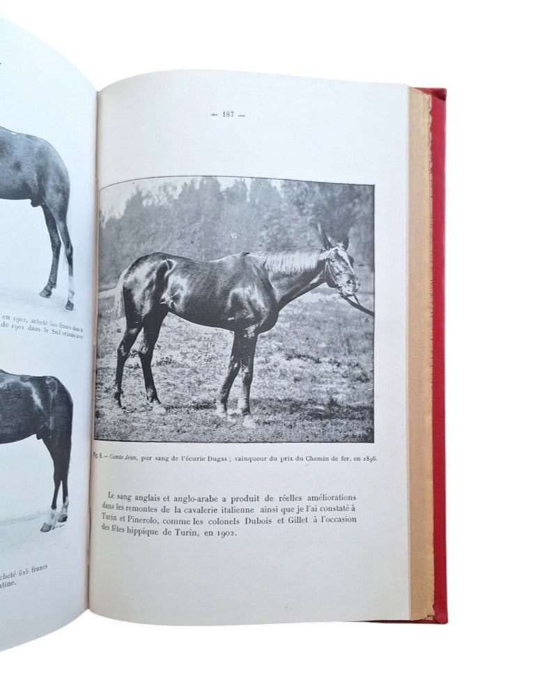 Aureggio, Eugène.- CONFÉRENCES ILLUSTRÉES SUR LA CAVALERIE DES ARMÉES FRANÇAISES & ÉTRANGÈRES