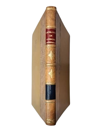 CATALOG OF COMPOSTELAN JETS