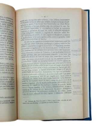 LES VOYOUS DE CERVANTÈS : « LE VOYOU FORTUNÉ » ET « LE VOYOU VEUF »