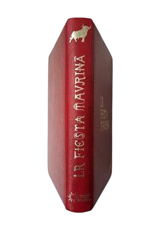 Saiz Valdivieso, Alfonso Carlos.- THE BULLFIGHTING FESTIVAL (AN IBERIAN PASSION)