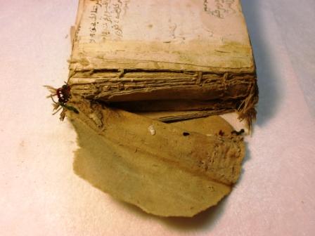 RESTAURATION D'UN LIVRE DE PRIÈRES ISLAMIQUE (XVIIe SIÈCLE)