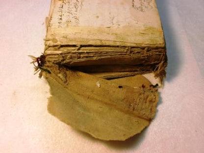 RESTAURATION D'UN LIVRE DE PRIÈRES ISLAMIQUE (XVIIe SIÈCLE)