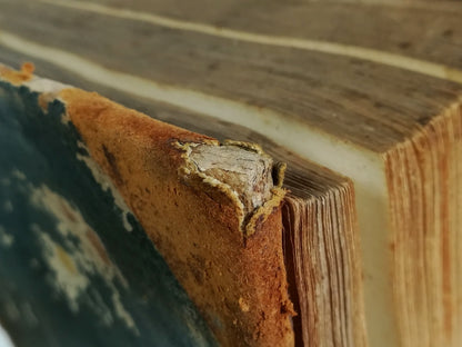 RESTAURATION D'ŒDIPUS ÉGYPTIEN.- Athanasius Kircher, Rome, 1652.